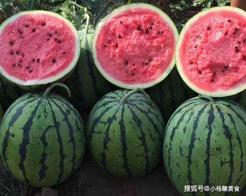 有哪些吃瓜免费的网站,盘点那些让你畅享娱乐的免费网站 第1张 有哪些吃瓜免费的网站,盘点那些让你畅享娱乐的免费网站 第1张