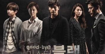 再见布莱克 在线观看,情感交织的告别之旅